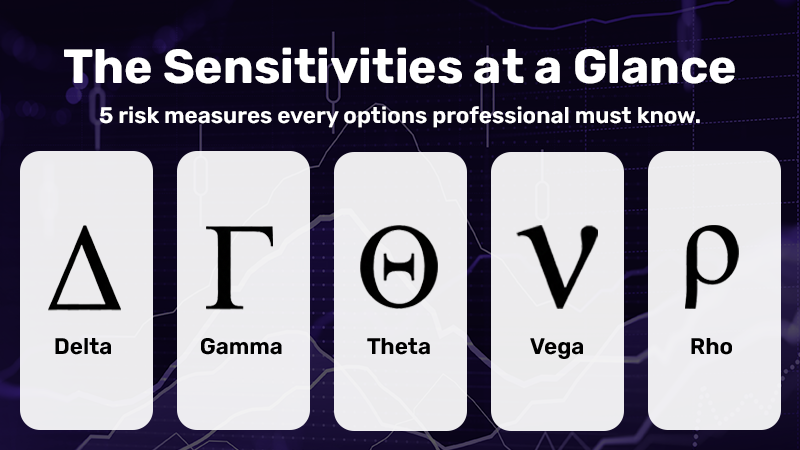Infographic showing the 5 options Greeks — Delta, Gamma, Theta, Vega, and Rho — and their role in options risk analysis