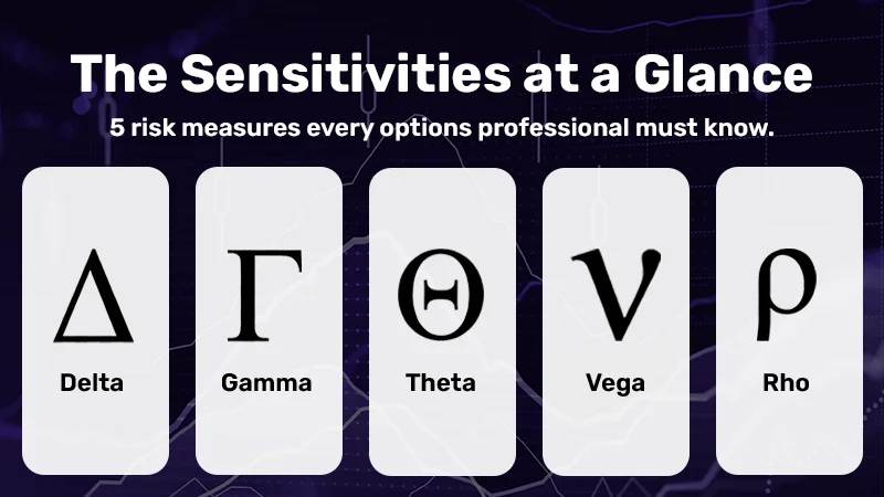 Infographic showing the 5 options Greeks — Delta, Gamma, Theta, Vega, and Rho — and their role in options risk analysis